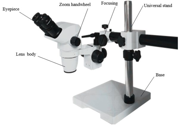 Diagram of the RWD stereo microscope: eyepiece, zoom handwheel, focusing, universal stand, lens body and base