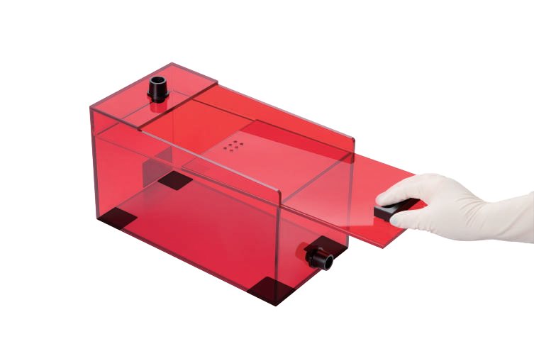 RWD red low-stress anesthesia induction chamber